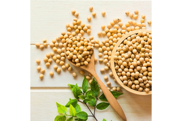 Soybeans.